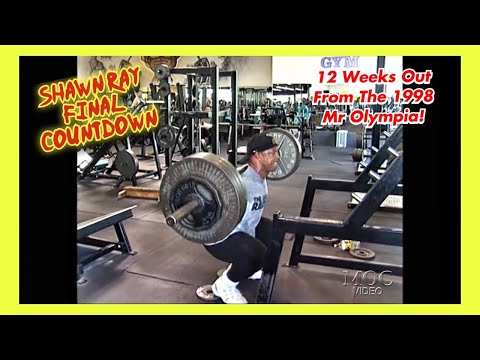 SHAWN RAY - LEG WORKOUT - Final Countdown DVD (1998)