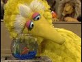 Sesame Street Sing Hoot Howl With The Sesame Street Animals