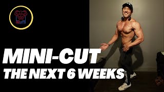 Mini Cuts: The Next 6 Weeks
