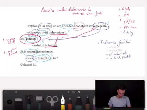 Studiu Ep.005 | Reacția omului duhovnicesc la căderea unui frate