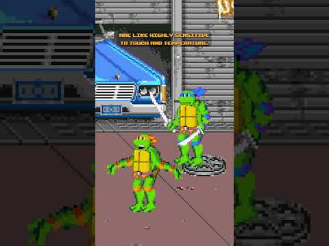 If Teenage Mutant Ninja Turtles Was Factually Accurate