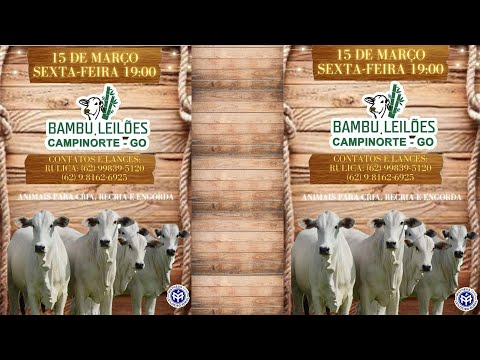 BAMBU LEILÕES  -  CAMPINORTE - GOIÁS  15/03/2024