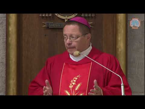 download lagu mp3 mp4 Alpha Polska, download mp3 Alpha Polska free downloadn, video klip Alpha Polska