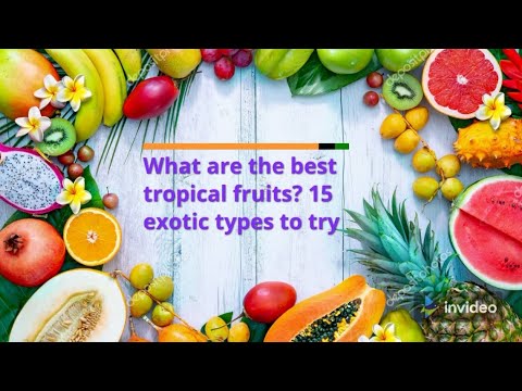 What are the best tropical fruits? 15 exotic types to try