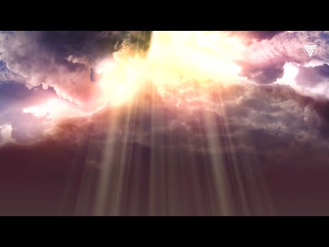 Cristal 22 - Sur toute chair