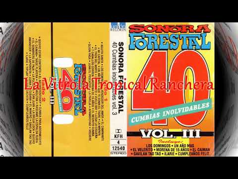 Sonora Forestal - Medley 2