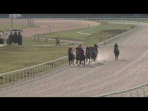 2020.08.09. 08. futam - NYERETLENEK VERSENYE (V.kat.) (szintetikus pálya)