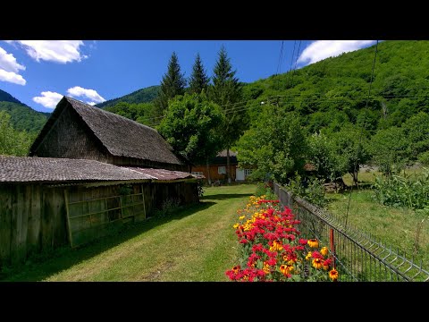 Lepsa Zona Cazare Impresii