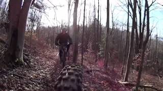 Top of Lee Hill and Bassett @ Lackawanna State Park