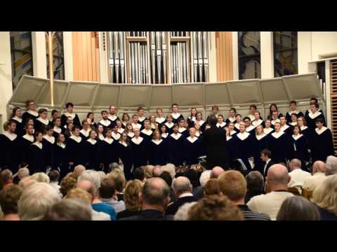 I'm Gonna Sing by Robert Hunter in Sun City West, AZ