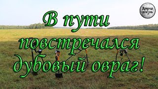 Рыбалка в дубовом овраге волгоградской области