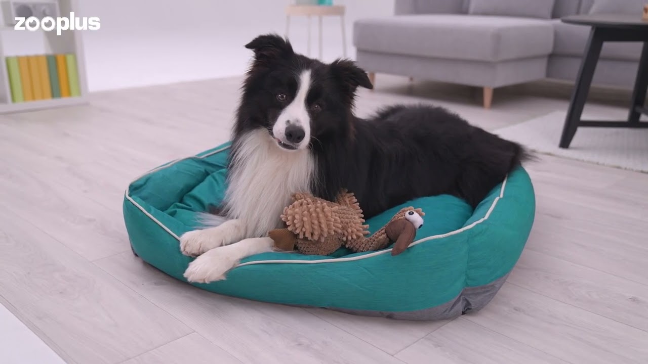 Legowisko dla psa Sioux | zooplus.pl