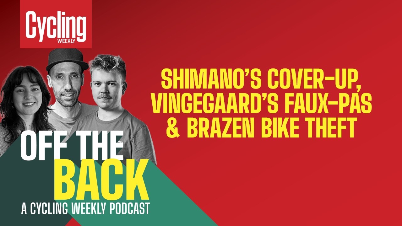 Are bikes actually getting cheaper? - YouTube