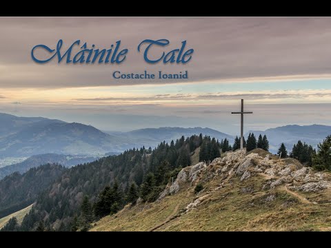 Mâinile Tale - Simida Istrate