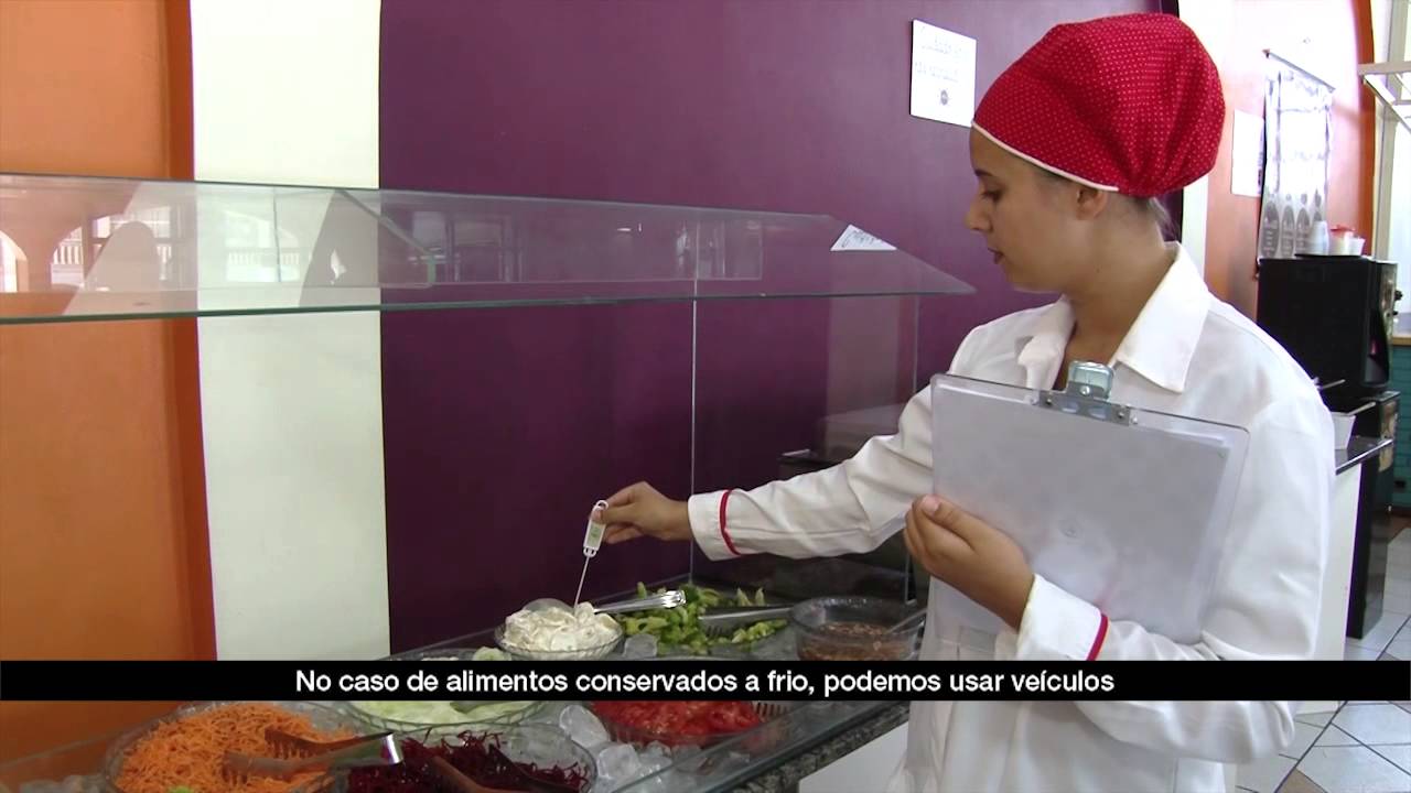 Alimentos | Módulo 6 Aula 9