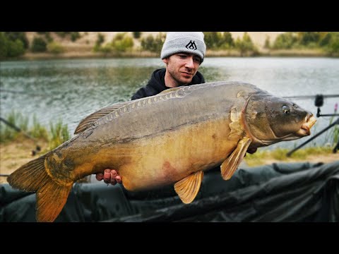 JESIOTRY, KARPIE i AMURY z WOJSZE!