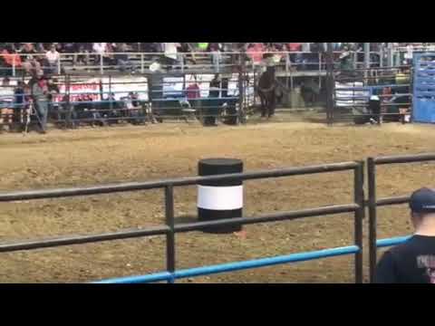 Benz @ Armada, MI rodeo - August 2017