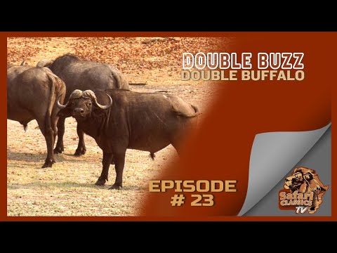 Double Buzz Double Buffalo I Safari Classics TV Episode # 23