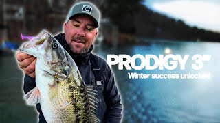 Recently Added Product Videos