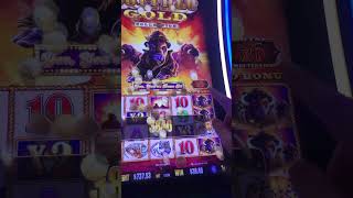 HUGE WIN (X6!!!) on BUFFALO GOLD