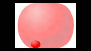 Предварителен преглед на скрийншота