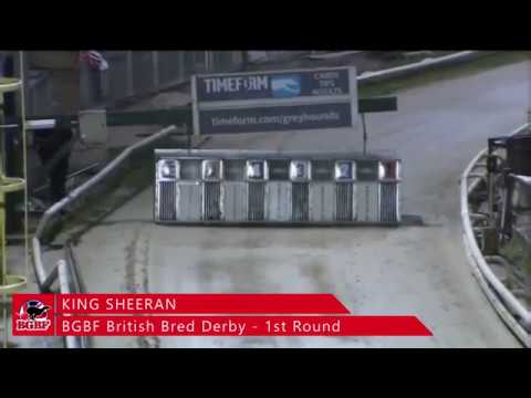 BGBF British Derby Heat 5 - KING SHEERAN