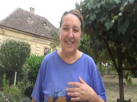 U Trlic na kazan - 01.09.2019. - Ub