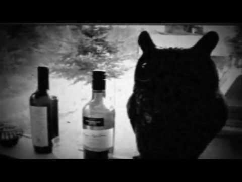 Owl Mountain Radar - Blood For Breakfast [Official video]