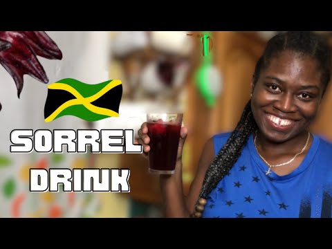 How to make the BEST SORREL DRINK 🇯🇲 | Best ZOBO Recipe | VLOGMAS DAY 17 🎄
