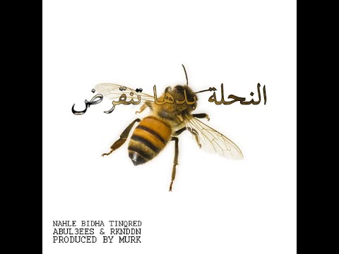 ABUL3EES & rknddn - NA7LEH النحلة بدها تنقرض (Prod. Big Murk) - Official Video