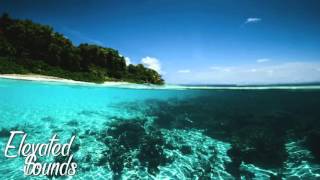 Mick Jenkins  - The Artful Dodger (Prod. by Kaytranada &amp; THEMpeople)