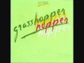 Grasshopper - JJ Cale 