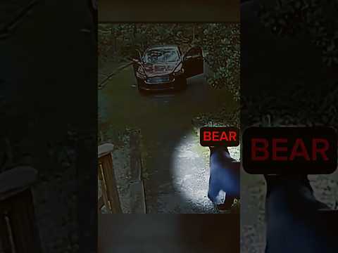 This family found unexpected thing on  their way…..