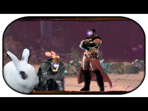 NEVERWINTER: Paladin-LP 🐇 215 - Hauptsache Ordnung
