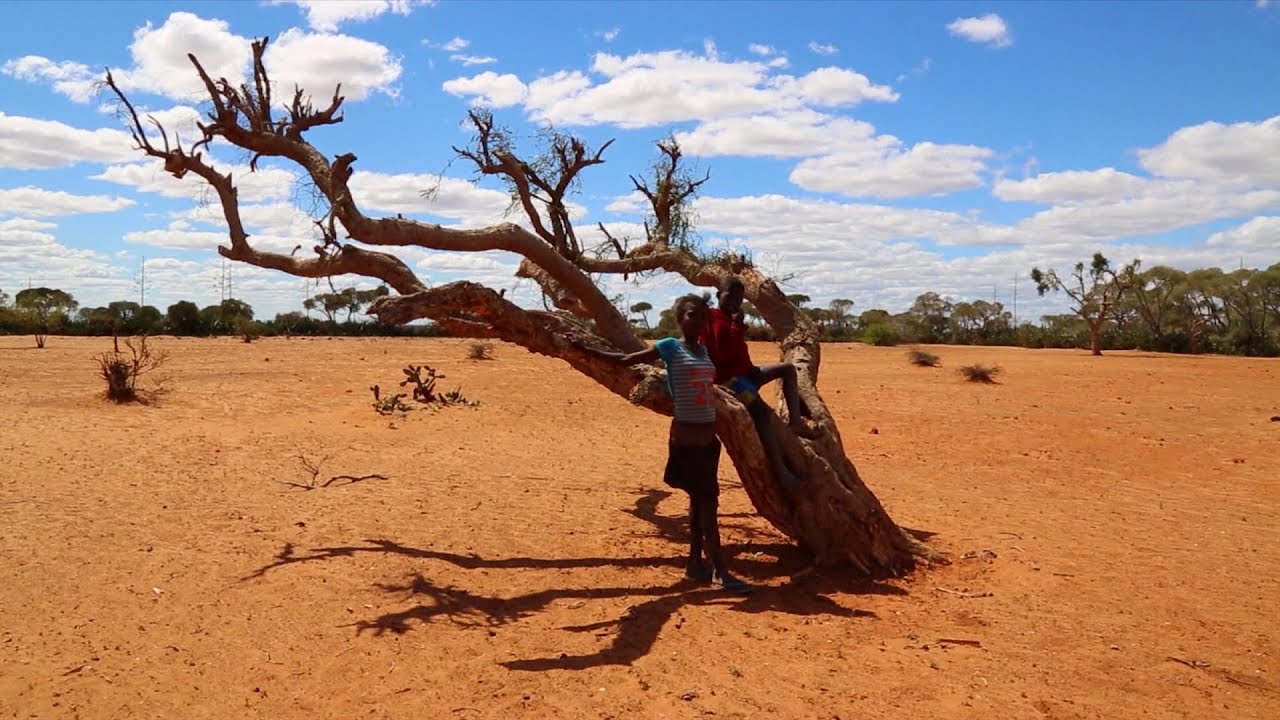 The Week in Review - 16 September 2016