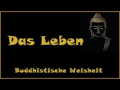 Zur Inspiration: Das Leben - Buddhistische Weisheit