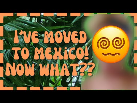 Mexico Been "Flexico"ing! | Expat Updates | Nicole J. Butler