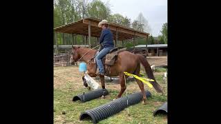 CJ sells May 7th @ Mt Airy Livestock