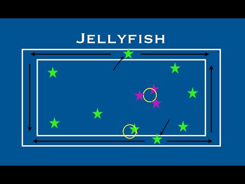 Jellyfish game - Primary Physical Education