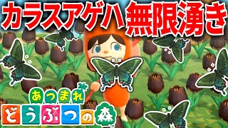 【あつ森】時間操作なし！カラスアゲハ無限湧きでお金稼ぎ【あつまれ どうぶつの森】