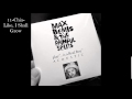 Max Bemis & The Painful Splits - 11. Chia-Like, I Shall Grow - ["...Is A Real Boy" Acoustic]