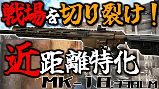 【EFT】敵に穴をあけろ！MK-18近距離仕様！ #28【ゆっくり実況】