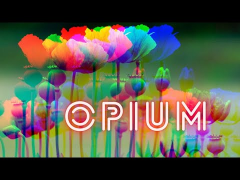 OPIUM I First Consumption I Effects I Prices