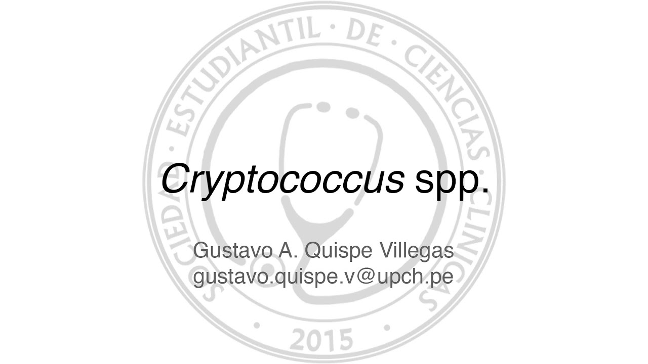Cryptococcus spp.