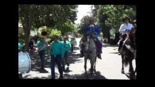 preview picture of video 'Los Caballos de Rancho las Camelinas en Pleasanton'