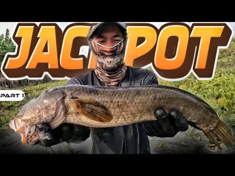 P1 - Jackpot sa Panlalambat - EP1962