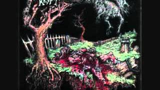 Torture Krypt - Pharisaical - Rotted Remnants