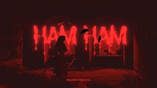 Download lagu Ham Ham – Pengu x Ali Demirel mp3