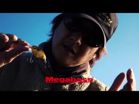 Megabass Griffon Bait Finesse Mr-X 3.8cm 5.3g GG Megabass Kinkuro F