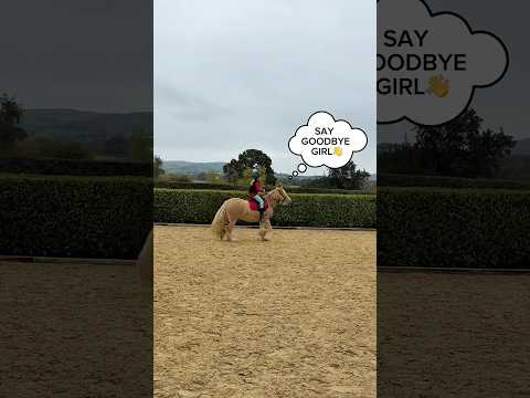 THAT WAS PAINFUL!😭🐴 #horse #equestrianjourney #equestrian #comedy #horsegirl #ponyhorse #funny